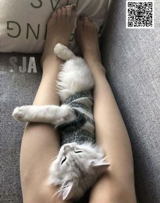 极品老妈第六季_BD国语高清电影在线