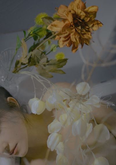 台湾佬2222vvvv info_DVD在线观看高清